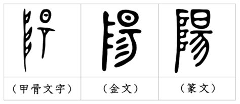 陽 象形文字|陽（ヨウ）の漢字の成り立ち(語源)と意味、用途